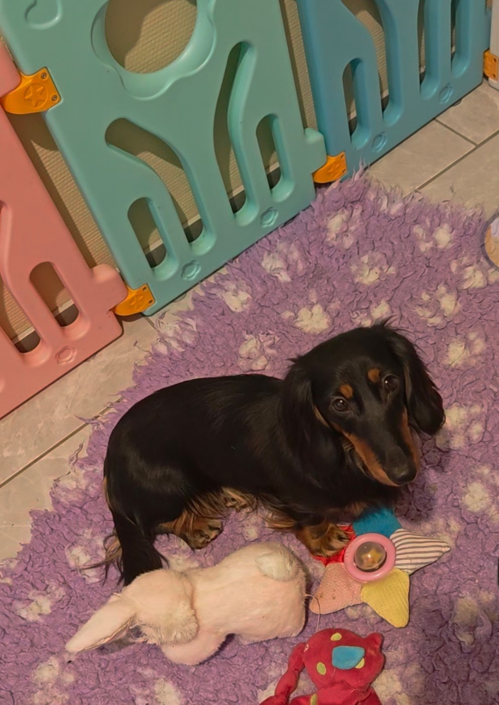 Angelina de tetiaora