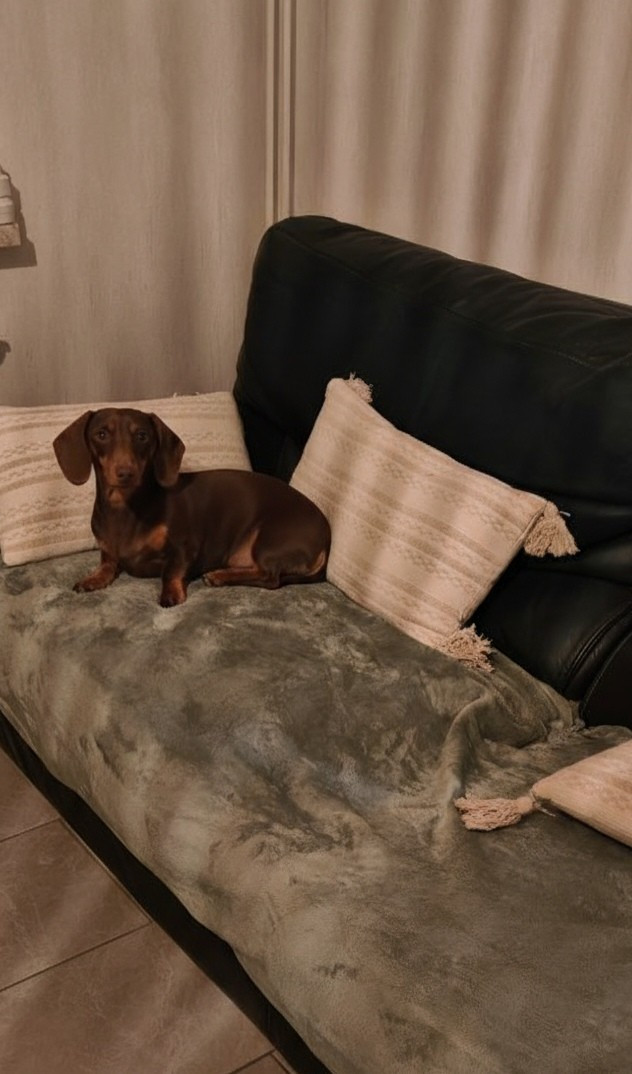 Alice Du domaine de jouvenceaux